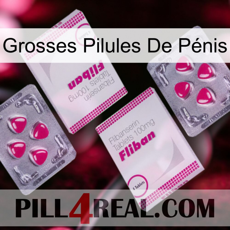 Grosses Pilules De Pénis 33